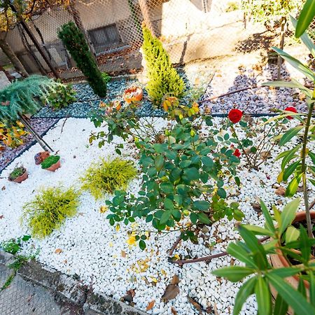 Devin Coworking & Coliving Διαμέρισμα Εξωτερικό φωτογραφία